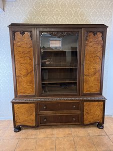 Vitrína s kresbou korenice